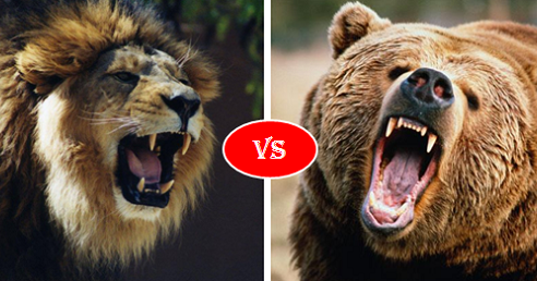 Compare African Lion Vs Grizzly Bear, who will win?