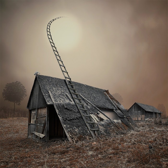 Красота осени и зимы. Caras Ionut