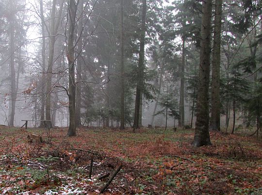 Rezerwat przyrody „Liwocz”. Rezerwat przyrody „Liwocz”.