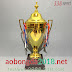 Cup Đồng Bóng Đá Đẹp Giá Rẻ - Mã BBT1307