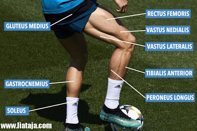 Foto Kekarnya Otot Badan Cristiano Ronaldo! - liataja.com Foto Kekarnya Otot Badan Cristiano Ronaldo - liataja.com