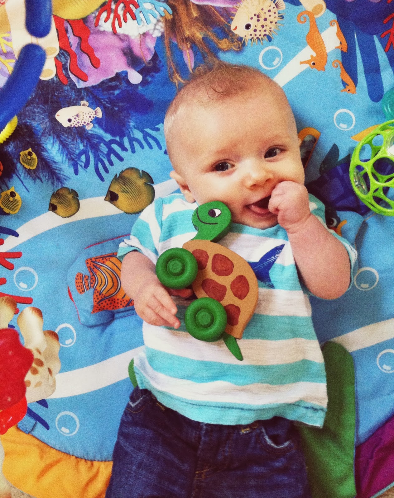 TESSA RAYANNE: Our Picks For Baby Products: Giggle Tree Toys