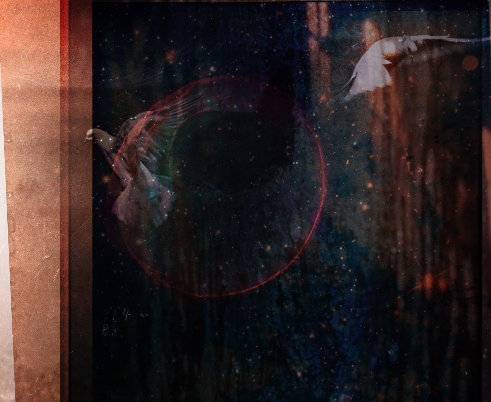 no.454 Circle mui vision