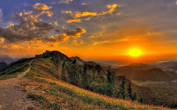 nature hd wallpapers 1080p quality desktop windows screen definition os mac active