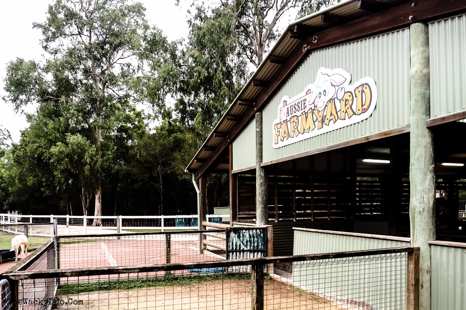 Paradise Country Gold Coast Review Singapore Lifestyle Portal