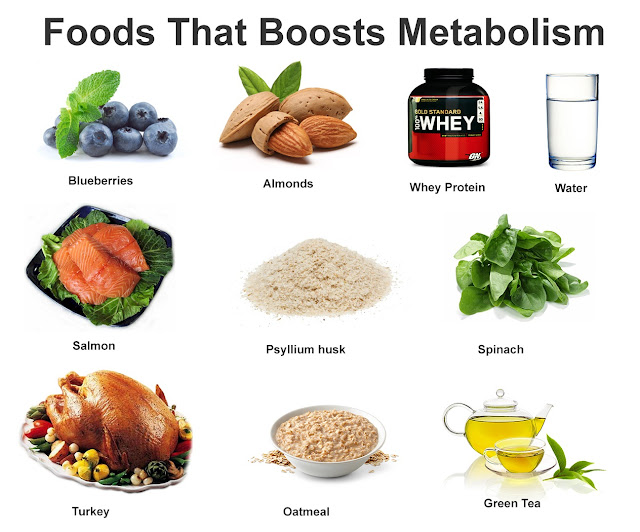 foods for building muscle