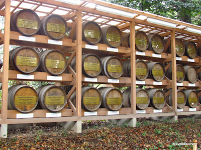 Barrels of French wine