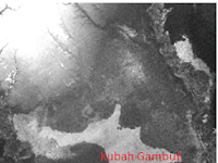 Penggunaan Digital Elevation Model (DEM) untuk Analisis Geometri Kubah Gambut Penggunaan Digital Elevation Model (DEM) untuk Analisis Geometri Kubah Gambut