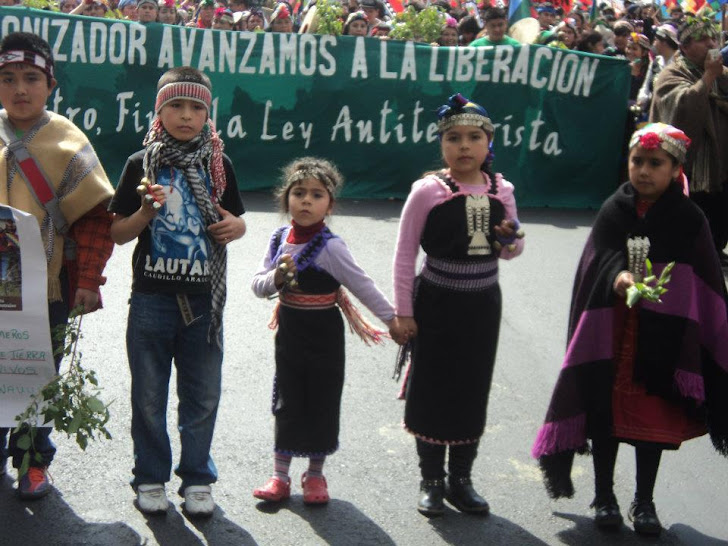 Marcha Mapuche en Santiago (Ngulu Mapu)