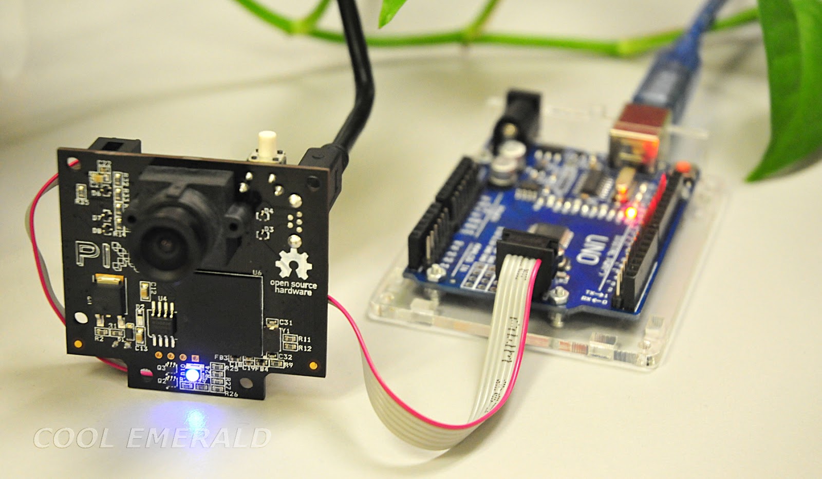 Wxwidgets Serial Port Programming Linux