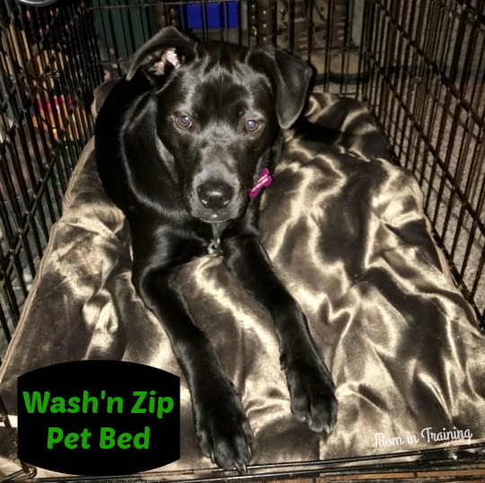 Stacy Talks & Reviews Wash'n Zip Pet Bed Giveaway Ends 11/8