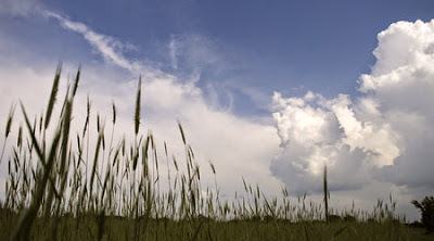 Топло време и следобедни облаци предвиждат синоптиците за днес 