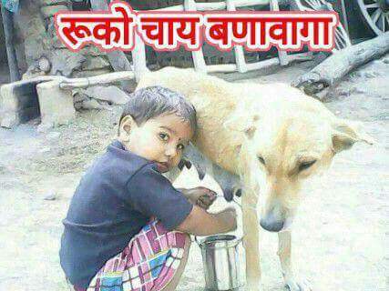 whatsapp funny images download funniest images for whatsapp