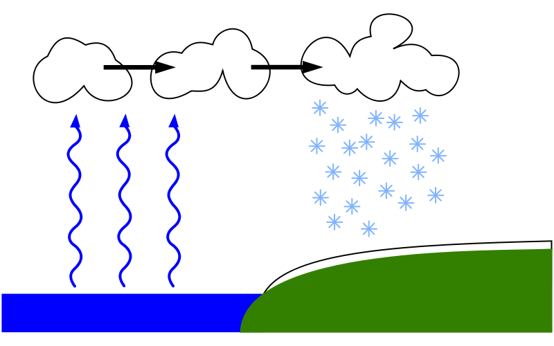 Four kinds of winter storms; three types of winter precipitation