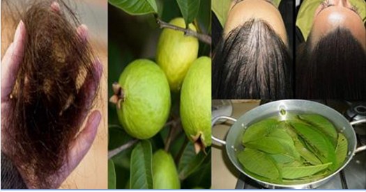 Como es posible reforzar las caídas de los cabello
