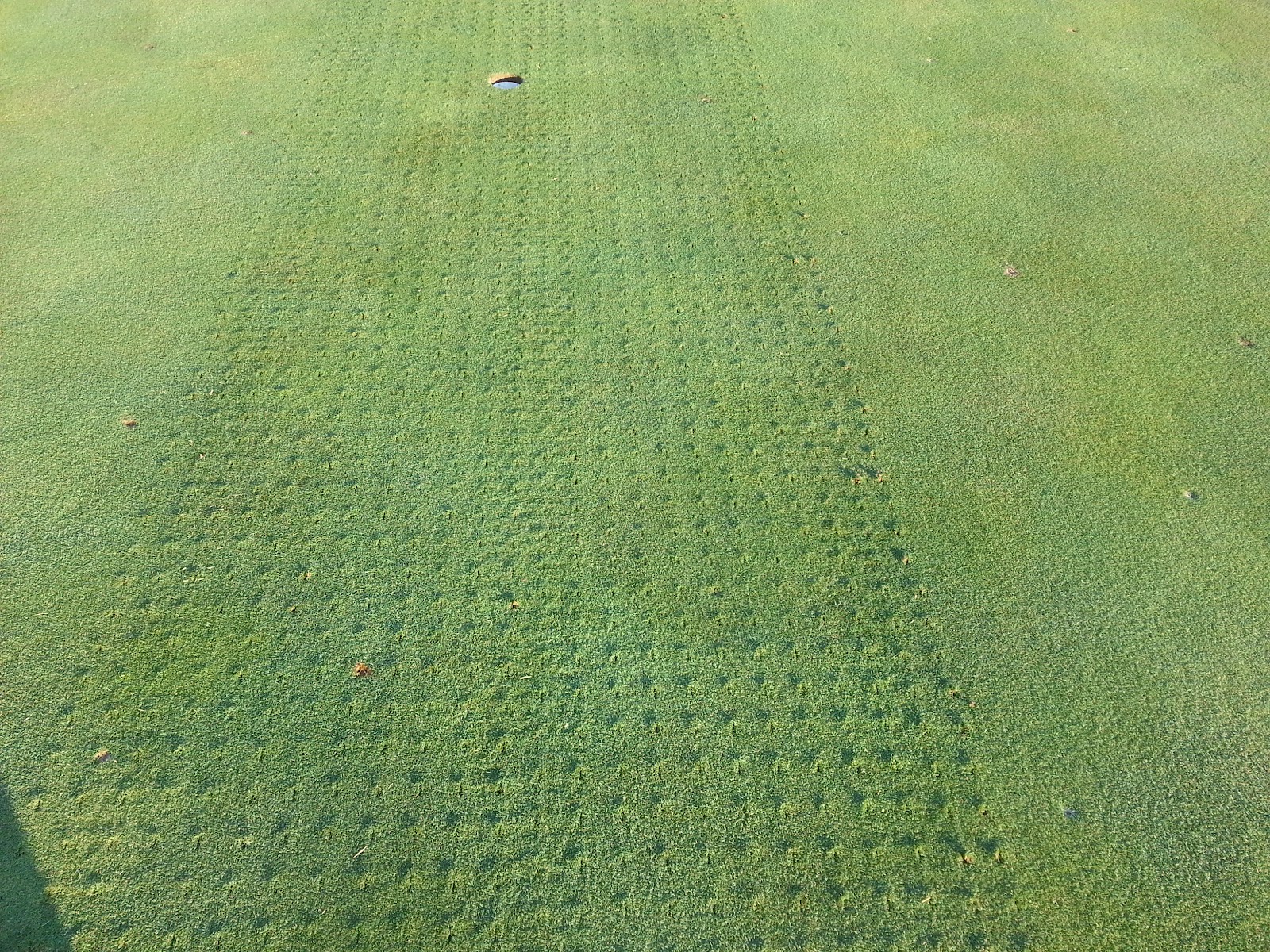 Golf Course Notes Greens Spiking