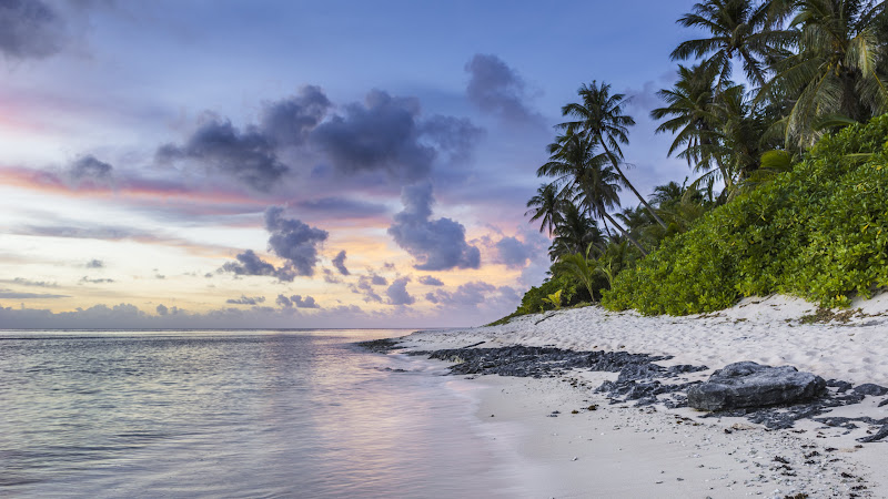 Exotic Beach and Ocean Waves