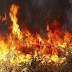 50 στρέμματα δασικής έκτασης έκαψε η πυρκαγιά στην Σκουτεσιάδα Αγρινίου.