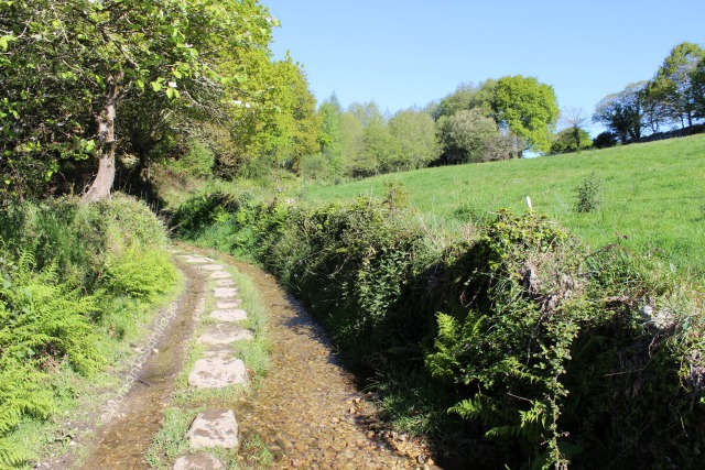 camino-de-santiago-frances-calzada-piedras-barbadelo-a-mercadoiro