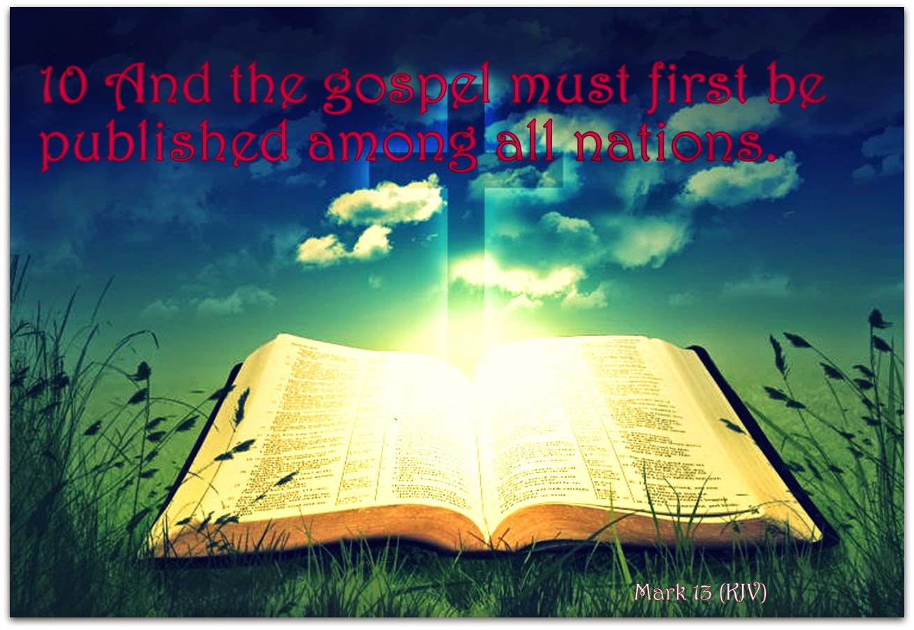 Red Pill Diaries Mark 13 KJV red-pill-diaries-mark-13-kjv