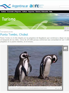 Argentina Turismo Pingüinos en Punta Tombo