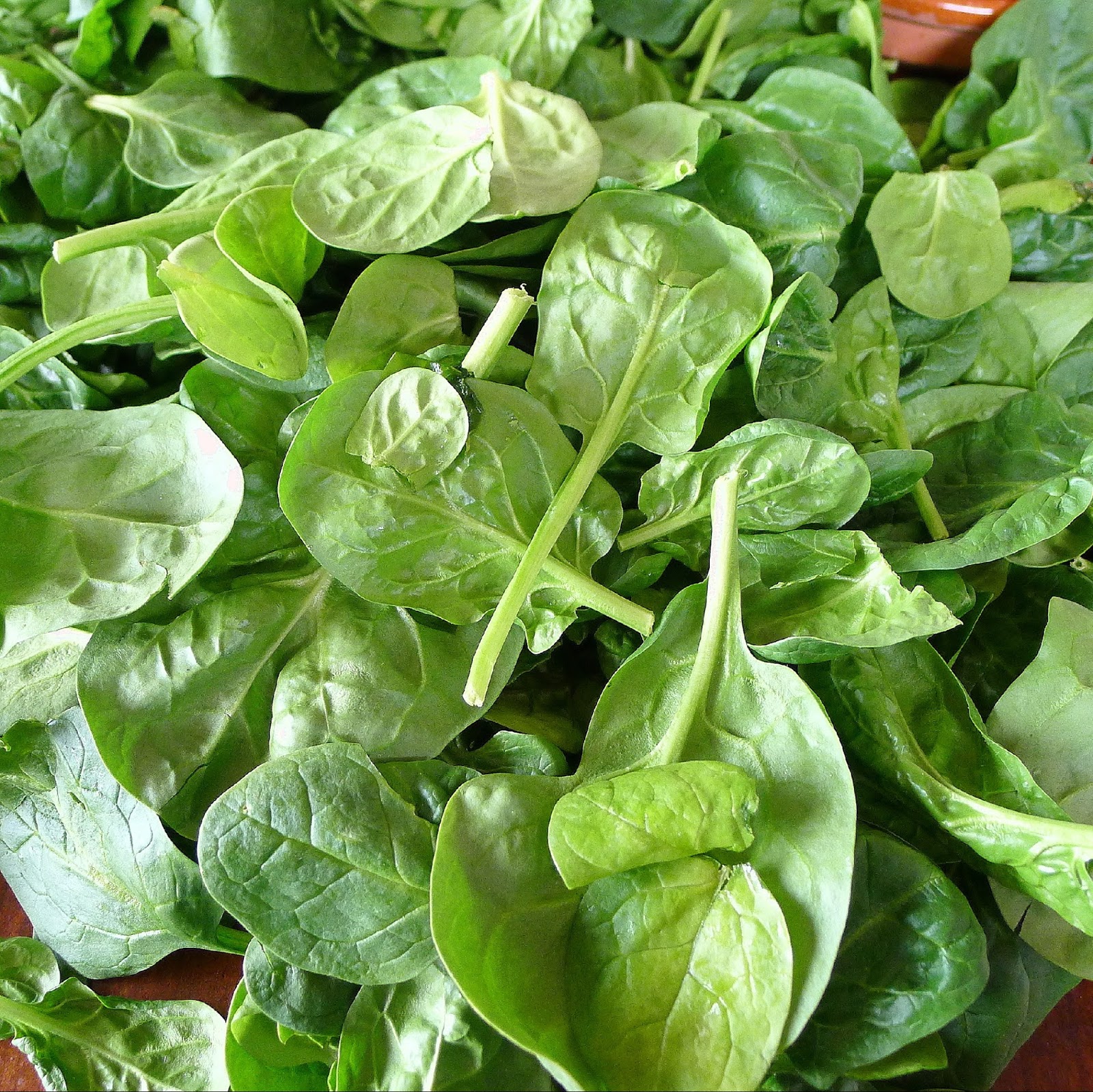 MY KITCHEN IN SPAIN SPINACHA BREATH OF SPRING