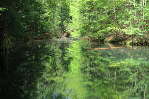 Carleton Creek