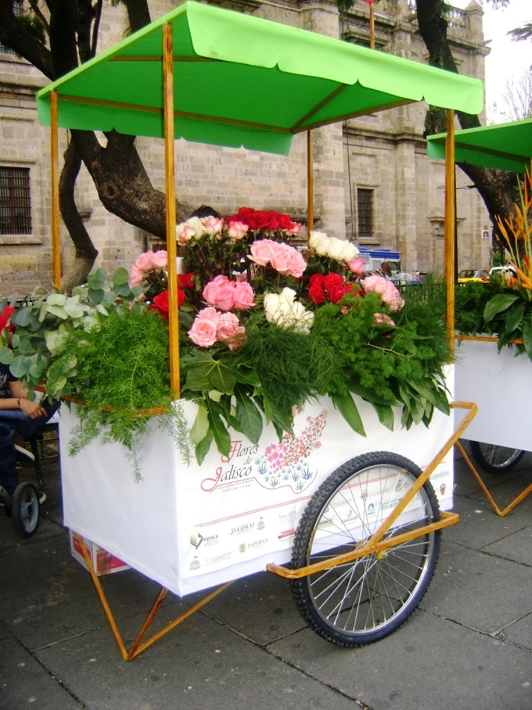 México a través de la mirada de una cubana: Flores de Jalisco