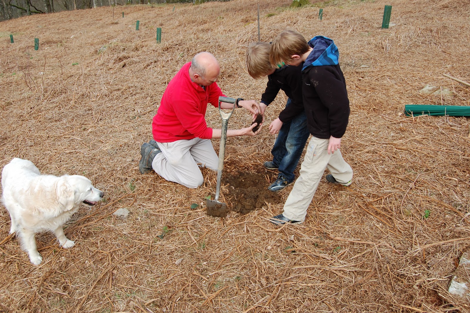 Ranger Roy National Trust Oaks and frogs to new homes. Children and