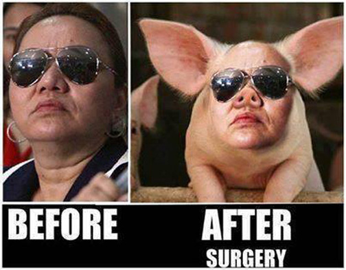 Janet-Lim Napoles' Latest Meme 4