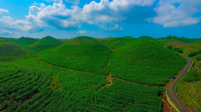 Paket wisata jogja 2019 - bukit teletubies gunung bagus paliyan