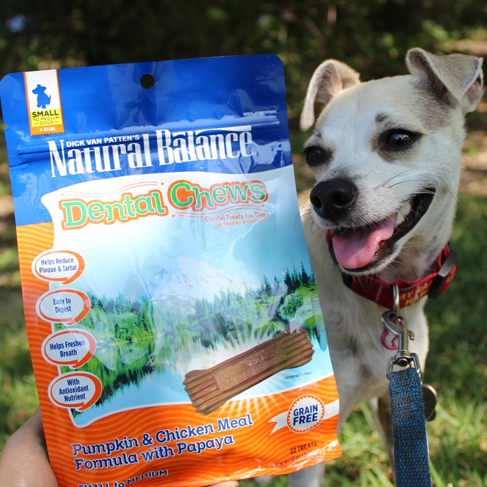 Natural Balance Dental Chews Review