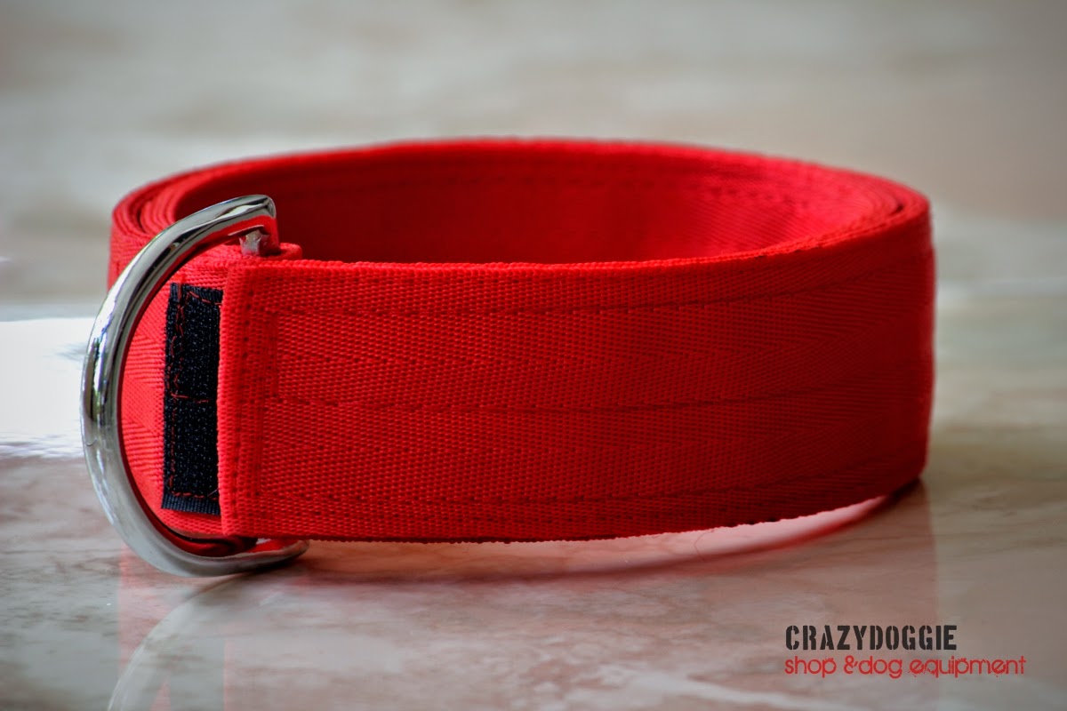CRAZY DOGGIE SHOP & DOG EQUIPMENT COLLAR NYLON VELCRO