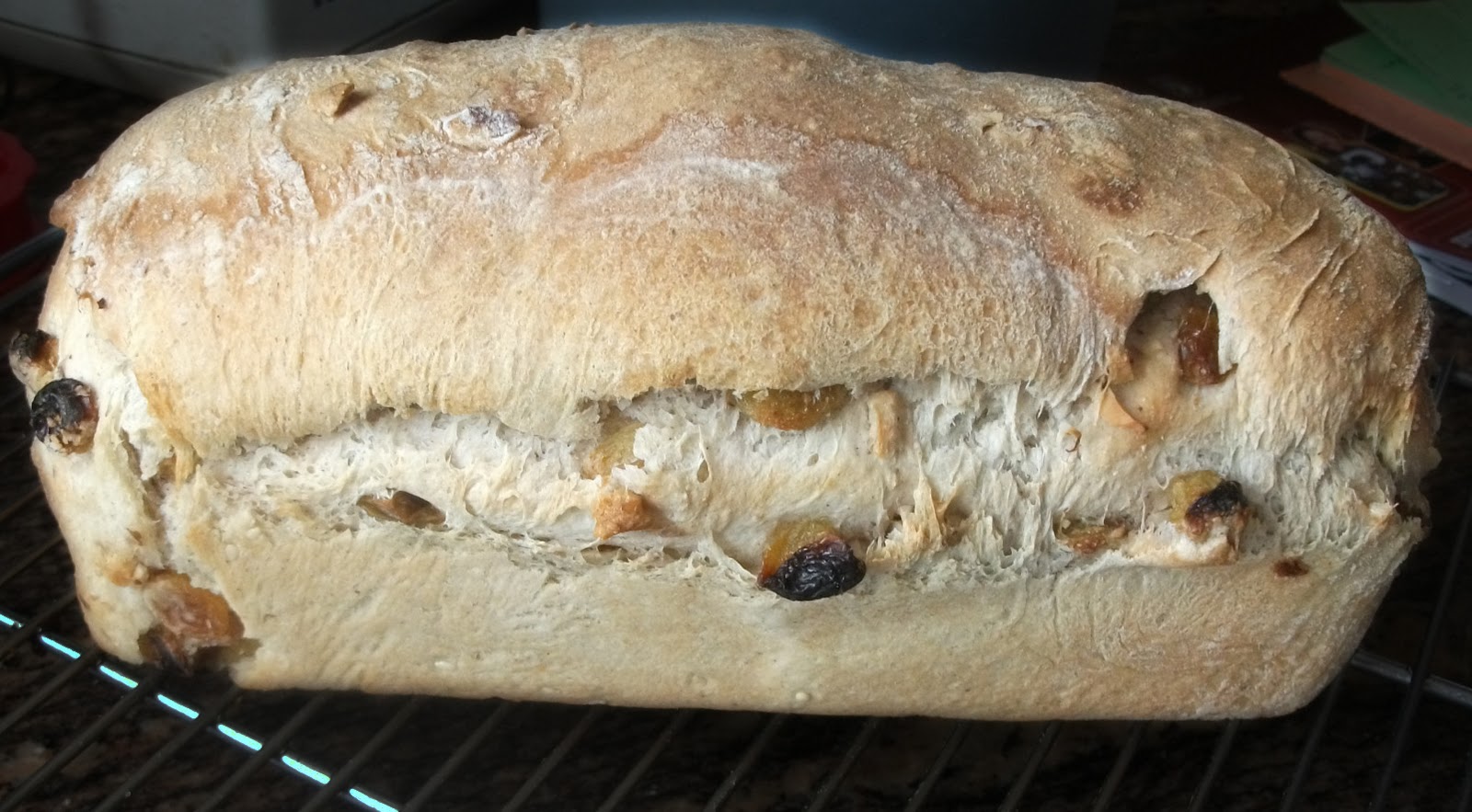 BreadMan Talking Warm & Fuzzy Feeling True Comfort Bread (Raisin Walnut)