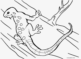 Lizard On Tree Coloring Pages Lizard On Tree Coloring Pages