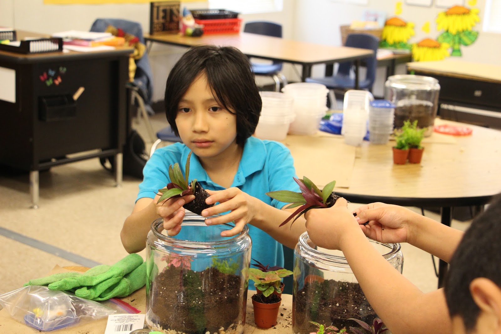 Your Permanent Record Terrariums at Mineral Springs Elementary