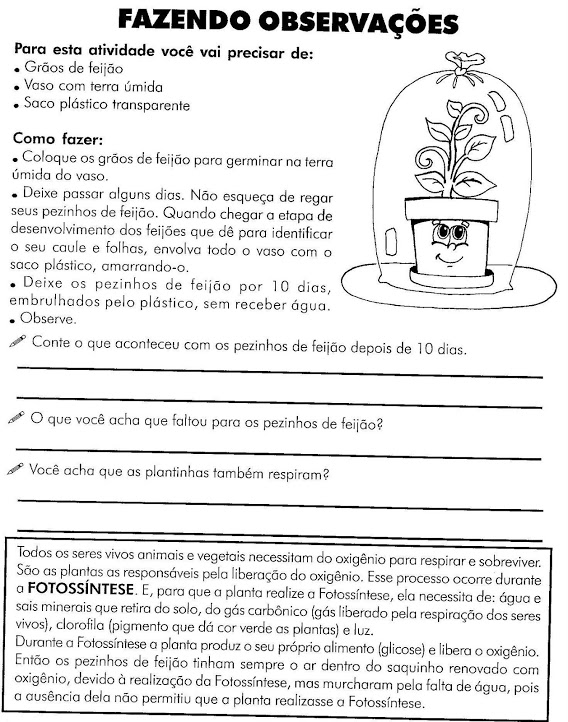 BLOG PROFESSOR ZEZINHO: Atividades - Ciências