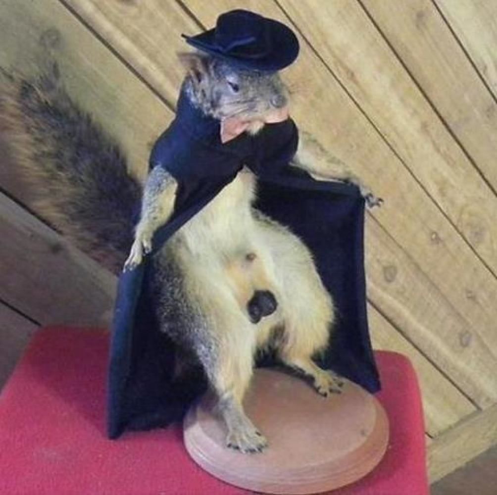 THE GRØNMARK BLOG The "Badly Stuffed Animals" Facebook page is an