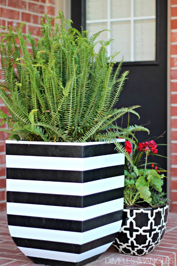 DIY Faux Concrete & Gold Leaf Planter - Erin Spain