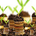 Hal Penting yang Perlu Diperhatikan Sebelum Investasi