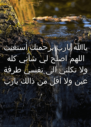 صور متحركة معبرة