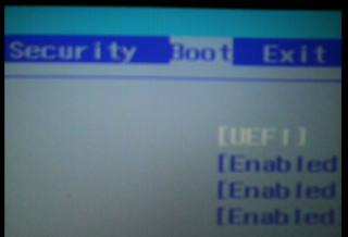 Pestaña Boot Pestaña Boot