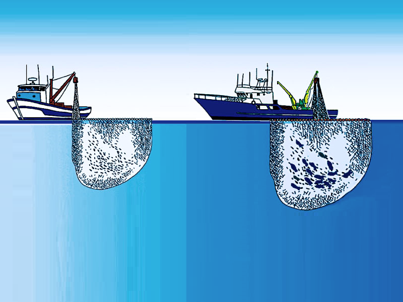 NÁUTICO ARTE DE CERCO (PESCA)