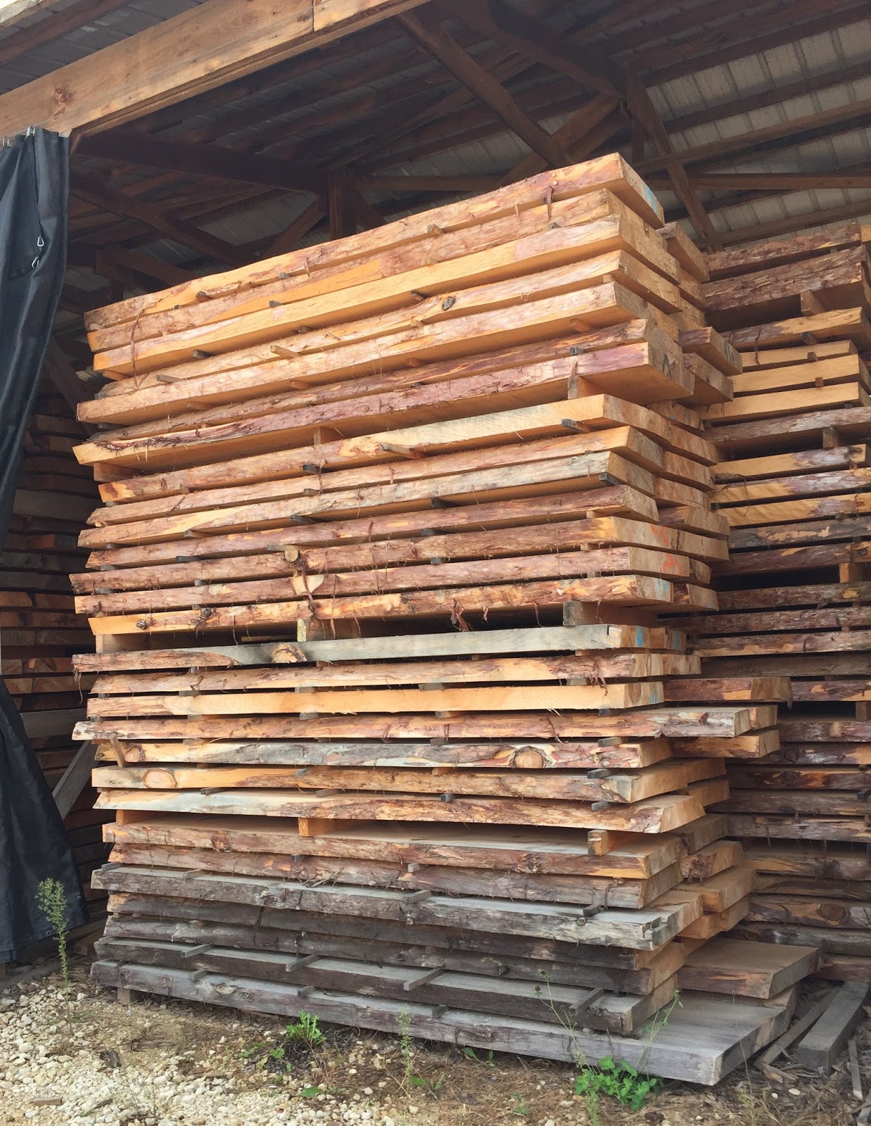 The Cabin Countess An Amish Sawmill