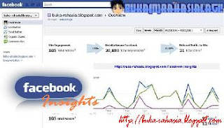 cara membuat facebook insights