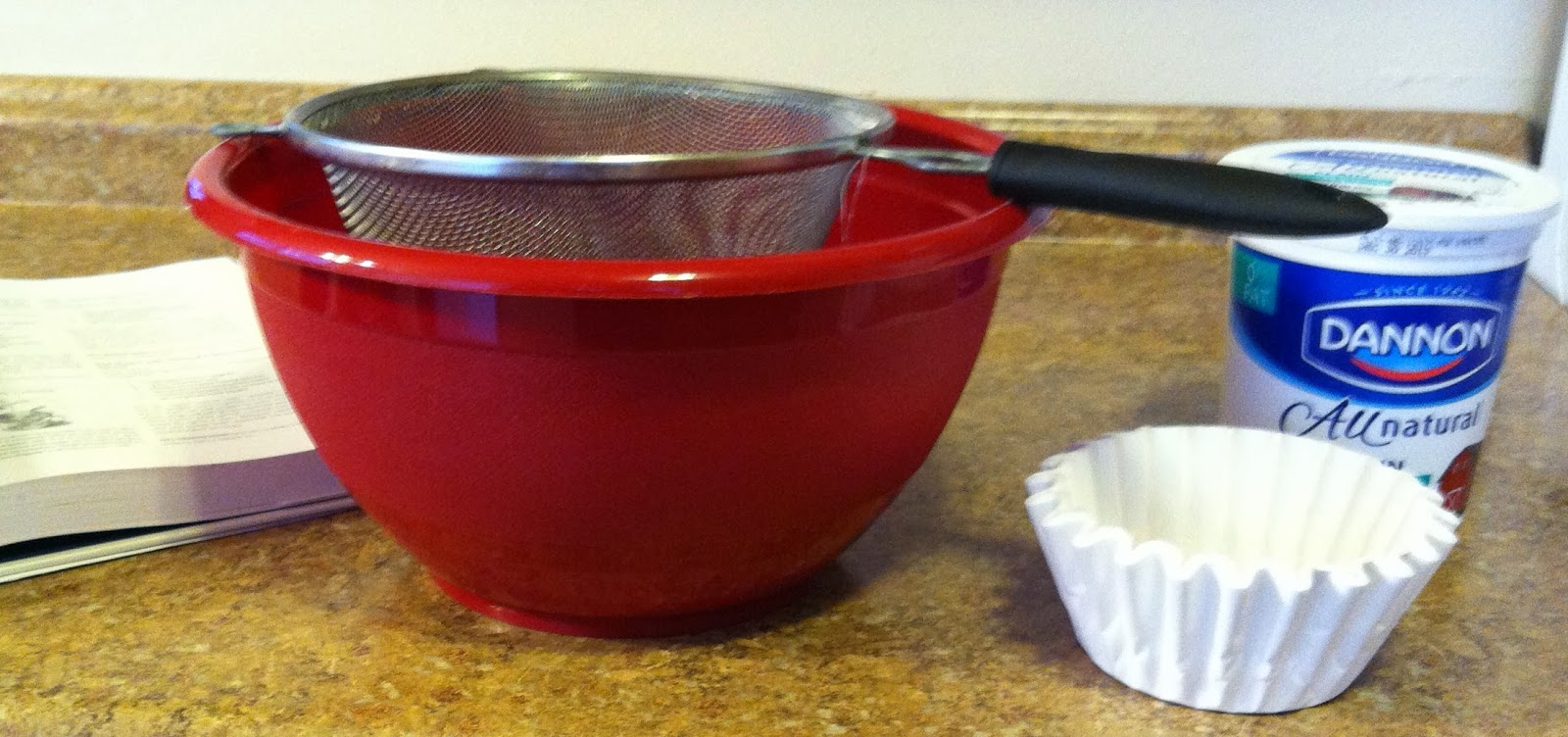 Directionally Challenged Yogurt Cheese Dip