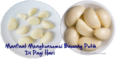Ingin Badan Tetap Terasa Segar Sepenjang Hari? Coba Makan Ini Setiap Pagi Hari manfaat bawang putih