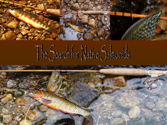 The Search for Native Salmonids