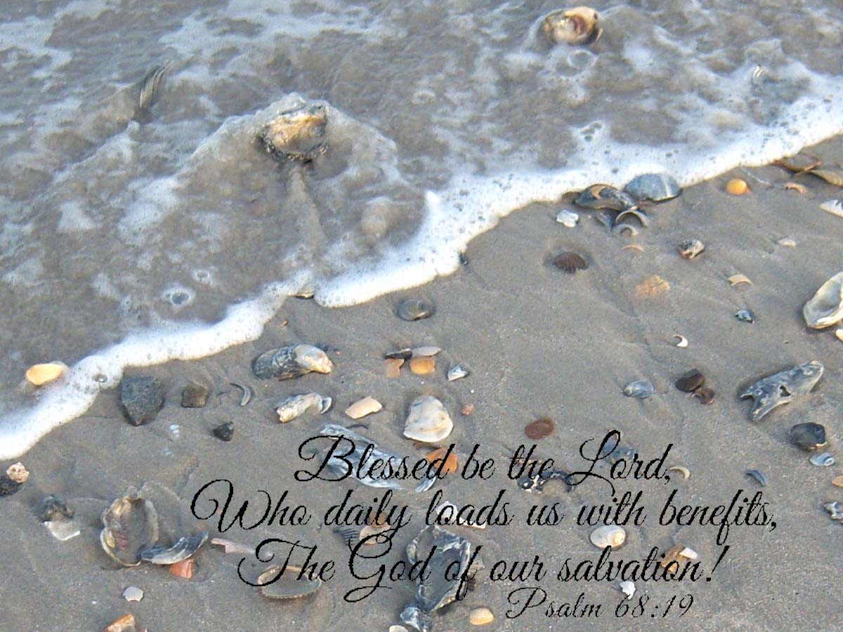 Shoregirl's Creations: Scripture Photos
