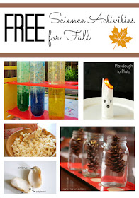 Free Science Activities for Kids to Do in Summer